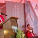 Con educación vamos a transformar a Tamaulipas: Lucía Aimé Castillo Pastor