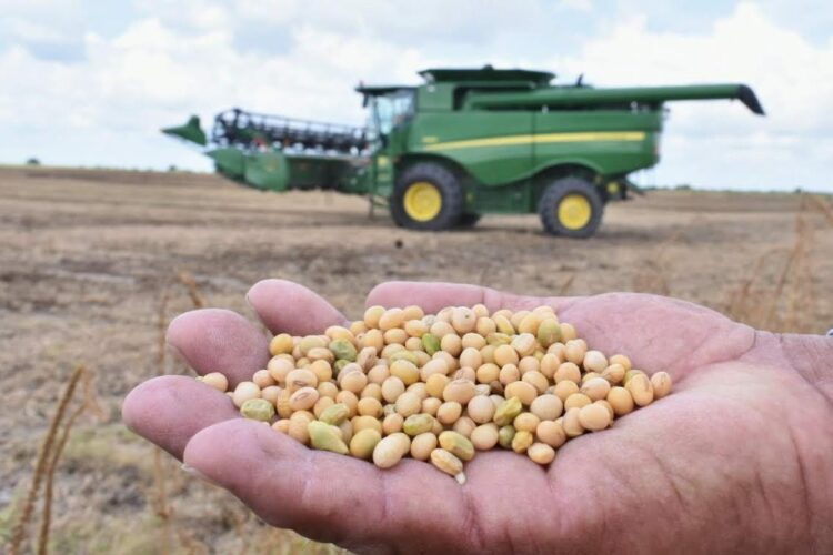 Arrancan en Tamaulipas siembras del ciclo agrícola Otoño-Invierno 2022-2023