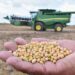 Arrancan en Tamaulipas siembras del ciclo agrícola Otoño-Invierno 2022-2023