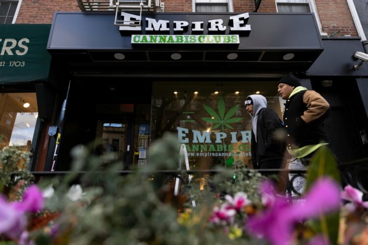 Entrega Nueva York las primeras 36 de 175 licencias para vender mariguana en dispensarios