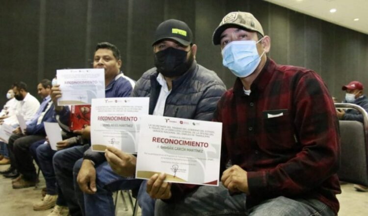 Regresan de Canadá 330 trabajadores agrícolas a 29 municipios de Tamaulipas