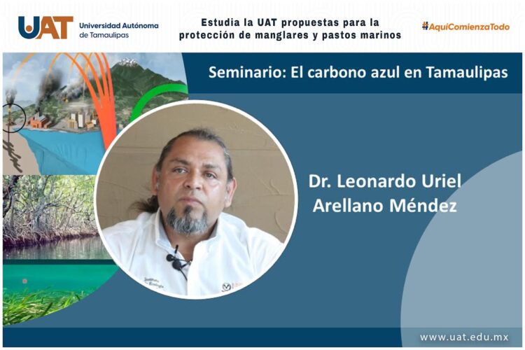 Estudia UAT propuestas para la protección de manglares y pastos marinos en el Golfo de México