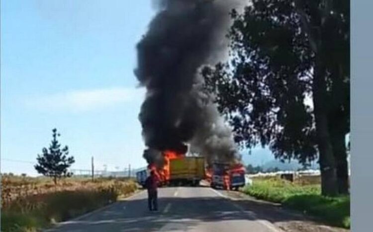 Reportan aseguradoras saldo preliminar de 256 vehículos  robados durante la captura de Ovidio