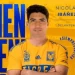 ¡Oficial! Nico Ibáñez es nuevo jugador de Tigres 