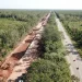Siguen jueces en campaña contra AMLO: otorgan suspensión definitiva del Tramo 5 del Tren Maya