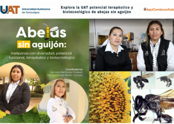 Explora la UAT potencial terapéutico y biotecnológico de abejas sin aguijón