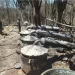 La Semar halla y destruye laboratorio con 4 mil litros de precursores químicos en Culiacán