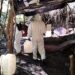 Desmantela Semar cuatro laboratorios clandestinos en Sinaloa