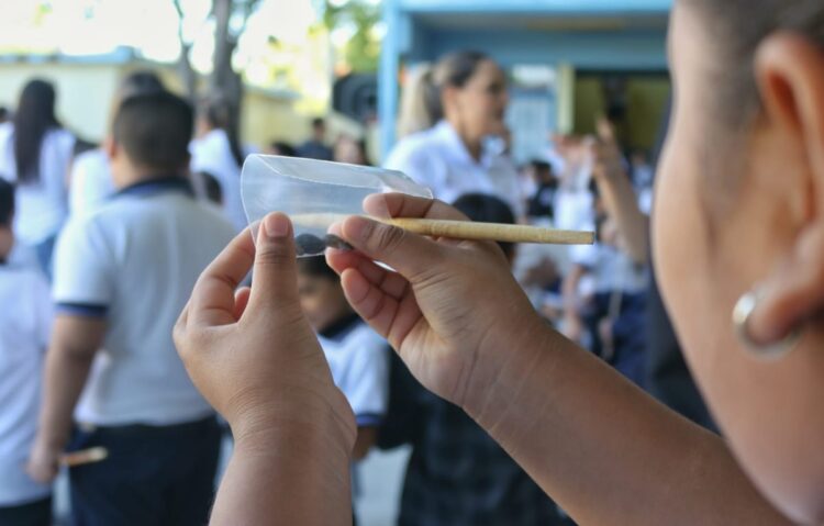 Siembra SEDUMA semilla para crear viveros escolares en Tamaulipas
