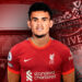 La guerrilla colombiana libera al padre del jugador del Liverpool Luis Díaz
