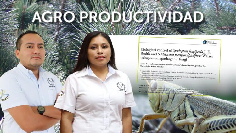 Destaca la UAT en investigaciones sobre el control biológico de plagas