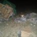 Choque entre 2 vehículos de carga cerca de Victoria deja un chofer lesionado esta madrugada