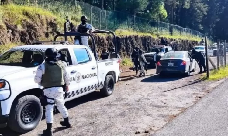 La Sedena y la GN eliminan a 10 pistoleros en Michoacán