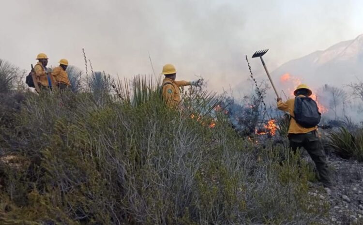 Refuerzan coordinación Estado y Federación para combatir incendio en la sierra; ya viene helicóptero
