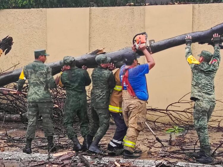 Ejército Mexicano apoya a población de Tamaulipas ante lluvias dejadas por ‘Alberto’