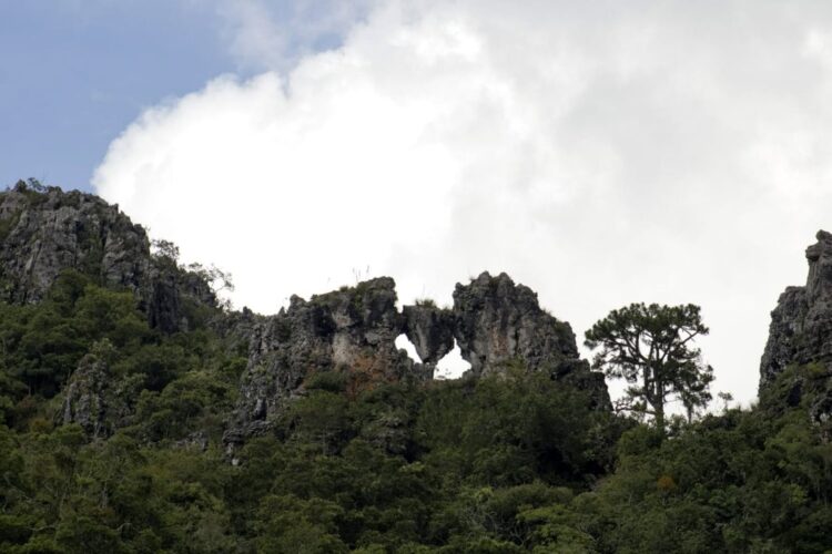 Fortalece Tamaulipas medidas para proteger reservas naturales