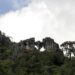 Fortalece Tamaulipas medidas para proteger reservas naturales