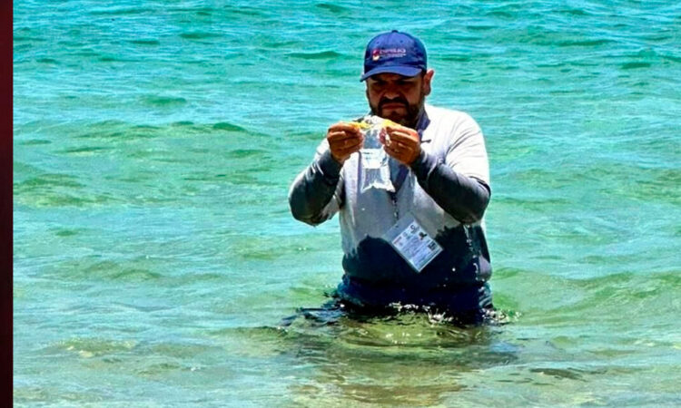 Las 18 playas mexicanas no aptas para vacacionar