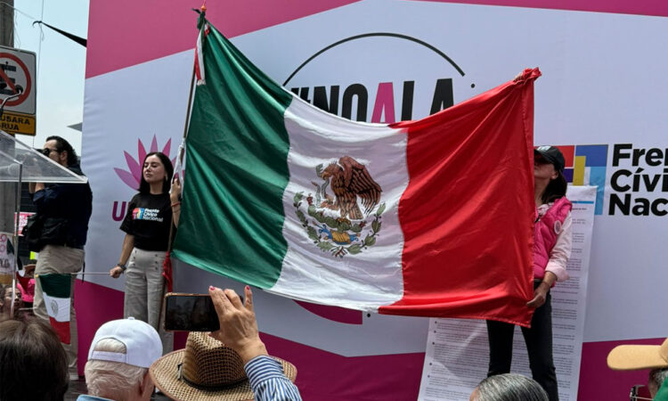 Exige ‘Marea Rosa’ al INE frenar la sobrerrepresentación de Morena