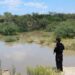 La Guardia Estatal aplica Plan Tamaulipas en Burgos ante desborde de cuerpos de agua