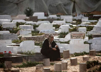 Australia expresa su oposición a leyes israelíes contra refugiados palestinos