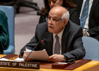 Embajadores árabes de la ONU abogan por una resolución con Israel