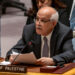Embajadores árabes de la ONU abogan por una resolución con Israel