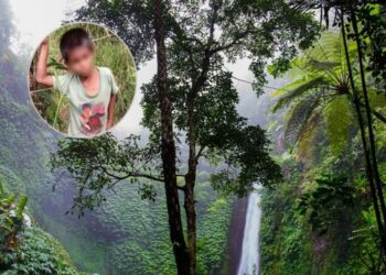 Hallan a menor desaparecido en una selva de Campeche