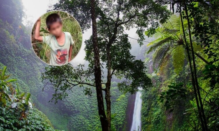 Hallan a menor desaparecido en una selva de Campeche