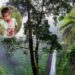 Hallan a menor desaparecido en una selva de Campeche