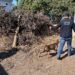 Militares y policías catean casa en colonia de Victoria: Hallan un perro muerto y rescatan hembra con vida