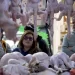 Los mexicanos sólo comen pavo en época de Nochebuena; el consumo es de 1.25 kilos al año por persona