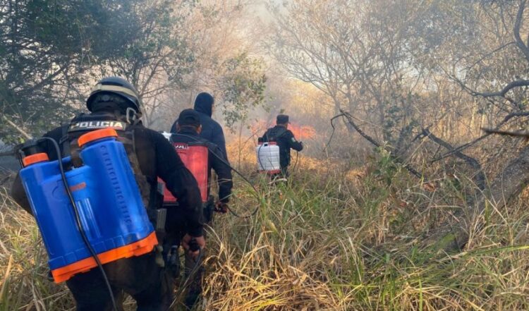 Activa SSPT Plan Tamaulipas por incendios forestales y de pastizales en 11 municipios