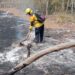Están sofocados todos los incendios en Tamaulipas; castigarán a autores de los siniestros