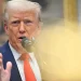 Se convierte Trump en un vulgar chantajista: ‘México y Canadá tienen que construir sus automóviles en EU’