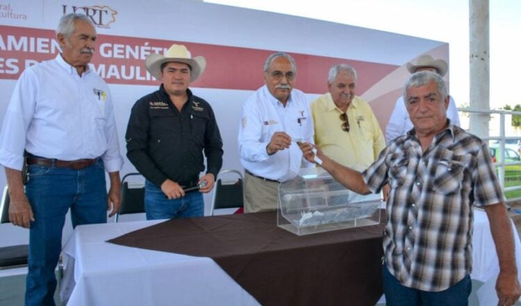 Destina gobierno de Tamaulipas 19 millones de pesos para el mejoramiento genético