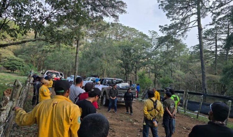 Coordinan acciones para el control del incendio forestal en Reserva de la Biosfera El Cielo; controlan 60%