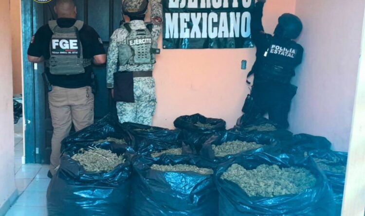 Rescatan en municipio de Guerrero a guatemalteco secuestrado… y con él 80 kilos de mariguana