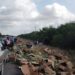 Un  Kenworth volcado ‘siembra’ con repollo tramo carretero Reynosa-San Fernando