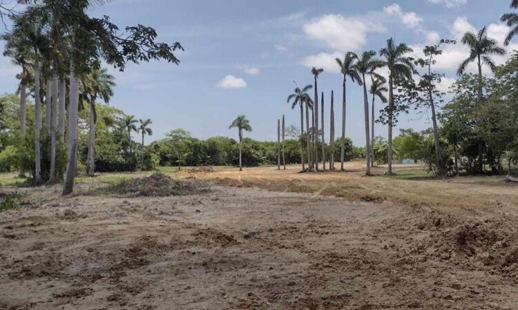 El gobierno municipal morenista de Tampico arrasa con vegetación de Área Natural Protegida