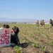 Trabajadores agrícolas de Los Ángeles estallan ‘huelga de la dignidad’ de 3 días  en protesta por redadas