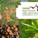 Invita la UAT a visibilizar más la riqueza vegetal del noreste de México