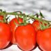 Nuevo arancel afecta al país pero más a EU porque consumen 2 de cada 3 tomates producidos en México