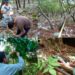 Busca la UAT conservar con tecnología geoespacial los bosques de encino de Tamaulipas