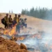 El ICE detiene a brigadistas mexicanos mientras combatían incendios en Washington