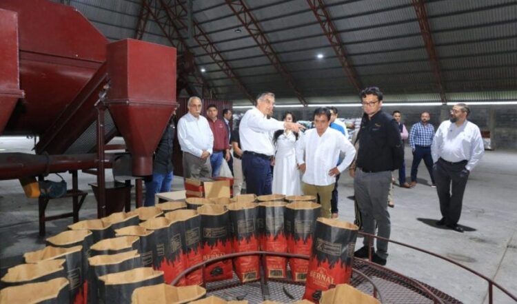 Avanza planta de combustibles limpios en Tamaulipas con inversión de 6.5 millones de dólares