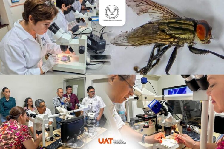 La Universidad Autónoma de Tamaulipas colabora con medidas preventivas contra el gusano barrenador