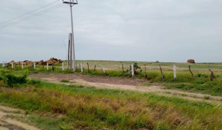 Regulariza el ITAVU más de 800 colonias y asentamientos en Tamaulipas