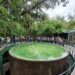Parque Ecológico Biósfera El Cielo es un espacio clave para la educación ambiental y ecoturismo en Tamaulipas