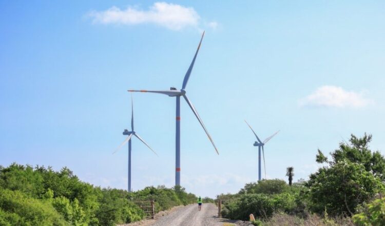 ‘Tamaulipas aspira a ser el principal estado productor de energía eólica de México’: secretario de Energía